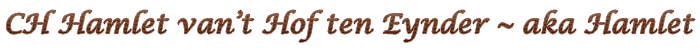 Hamlet title